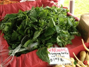 stinging nettle at farmers Market