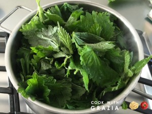 boil stinging nettles